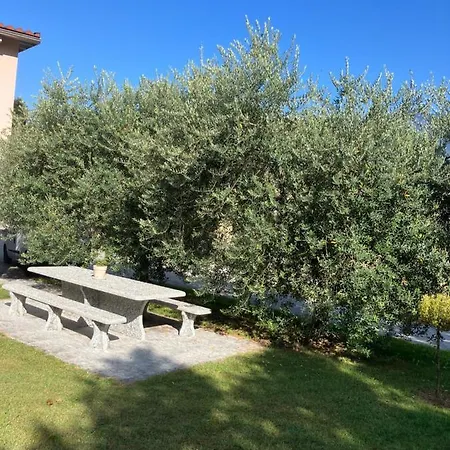 Residenza Giovanni Apartment Contone