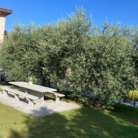 Residenza Giovanni Appartement Contone