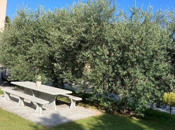 Residenza Giovanni Apartament Contone